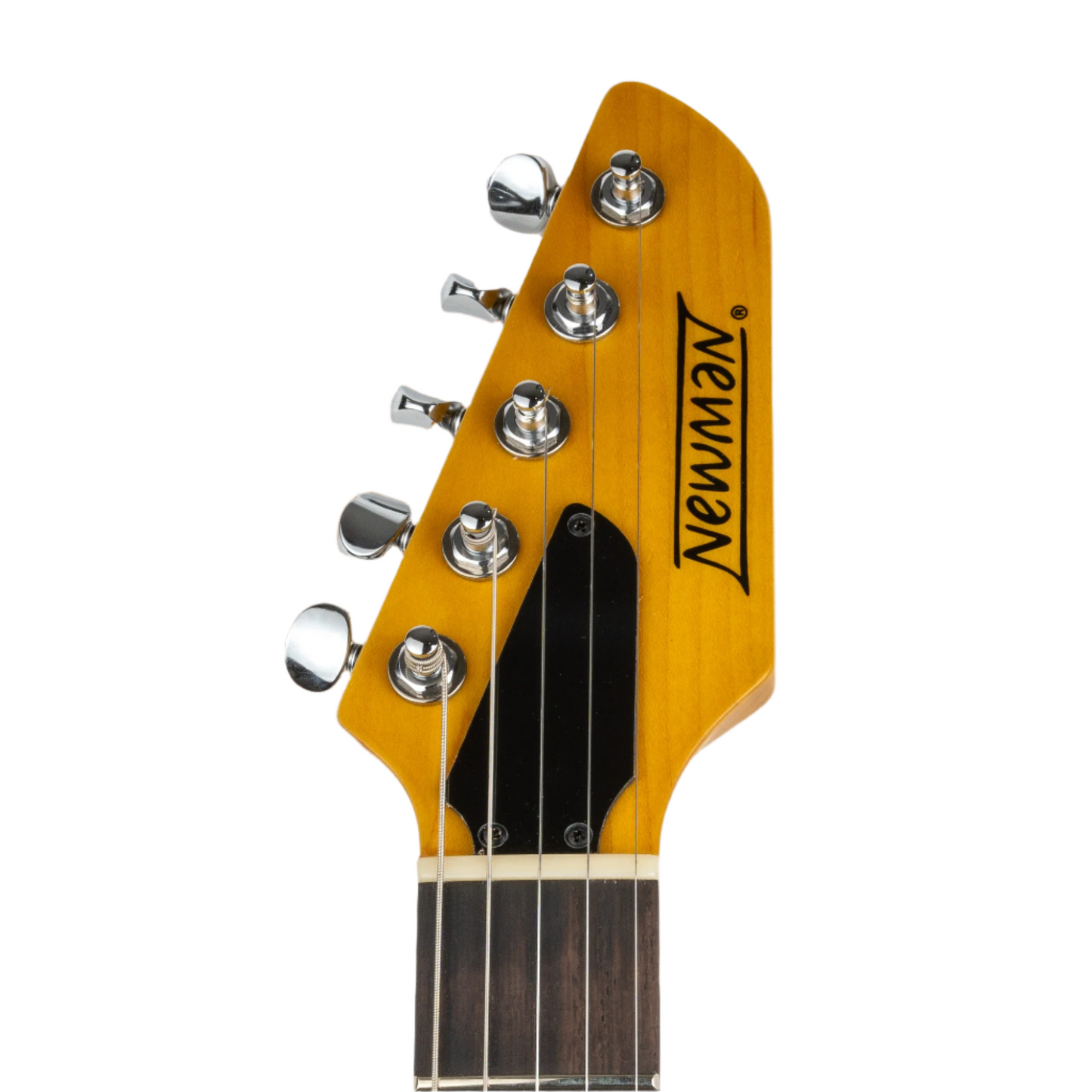 NEWMAN 5 STRING BURNT CARAMEL - 030624